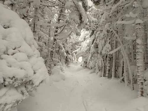 茶臼山登山道