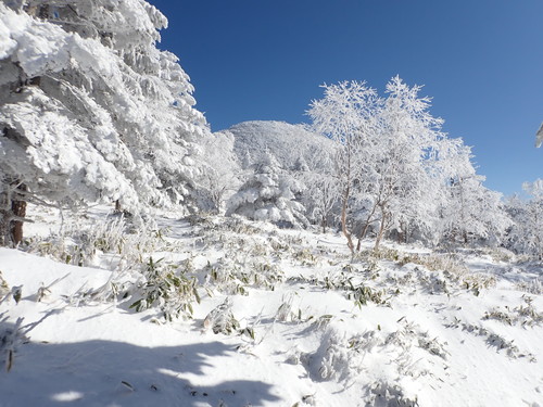 五辻付近から見る茶臼山