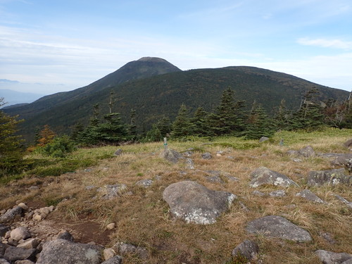 双子山から見る蓼科山