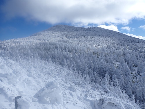 縞枯山